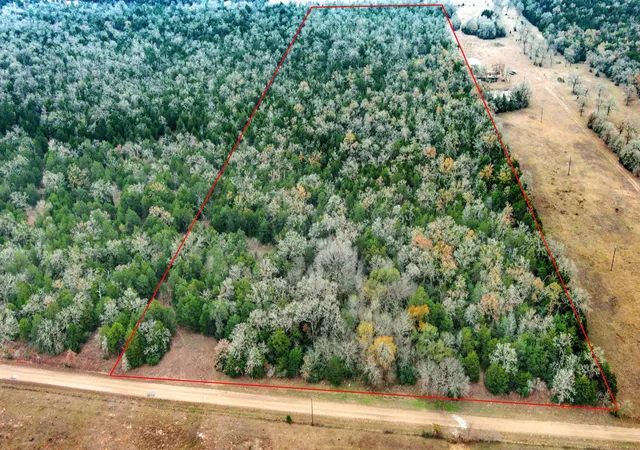 Photo 2 of Land for sale at 24 Acres Cr 332 Rd, Paige, TX 78659 | MLS# 5140981 | Listing updated on 2026-08-31
