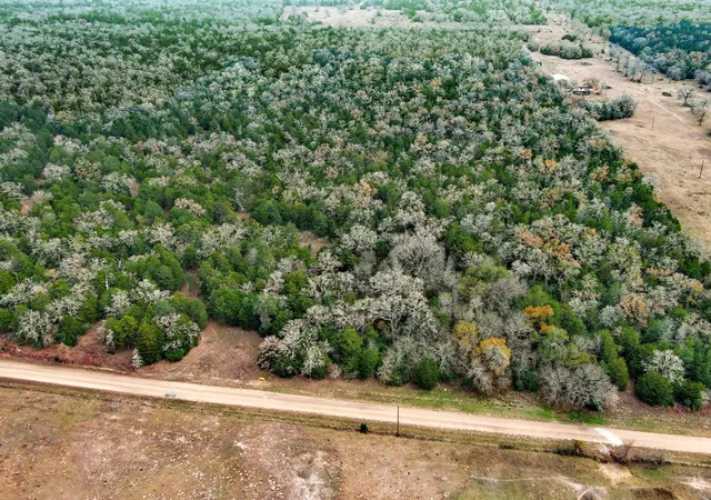 Photo 3 of Land for sale at 24 Acres Cr 332 Rd, Paige, TX 78659 | MLS# 5140981 | Listing updated on 2026-08-31