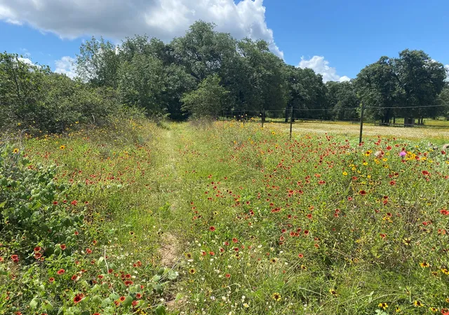 Photo 1 of Land for sale at Tbd Deep Sand Ln, Elgin, TX 78621 | MLS# 1498199 | Listing updated on 2026-08-28