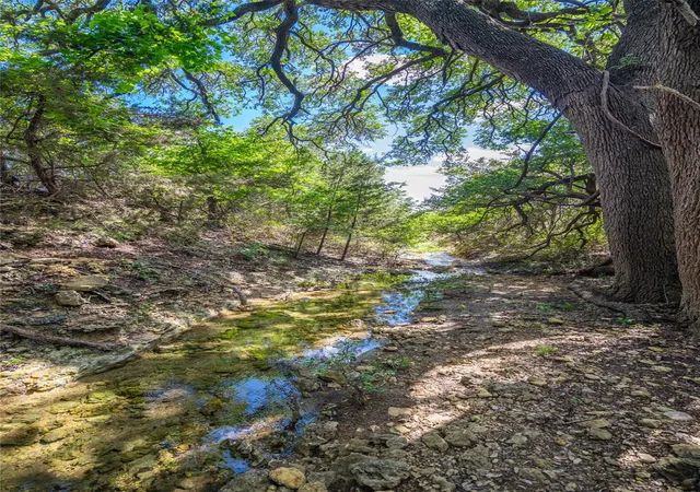 Photo 3 of Land for sale at 9750 Rm 243, Bertram, TX 78605 | MLS# 2169795 | Listing updated on 2026-09-23