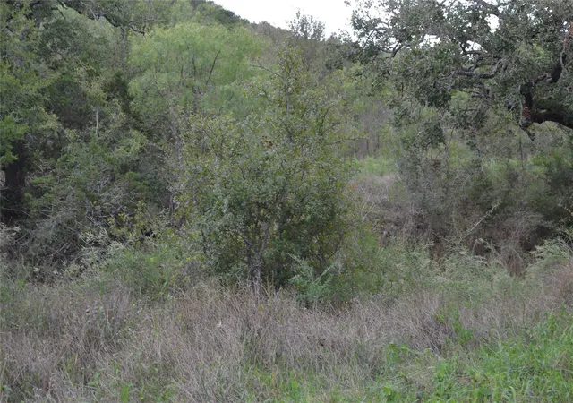Homes for sale in Tow, TX | 0 Ranch Road 2241, Tow, TX 78672 | MLS# 4802921