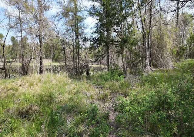 Photo 3 of Land for sale at 144 Cr 219, Cameron, TX 76520 | MLS# 9572783 | Listing updated on 2026-06-22