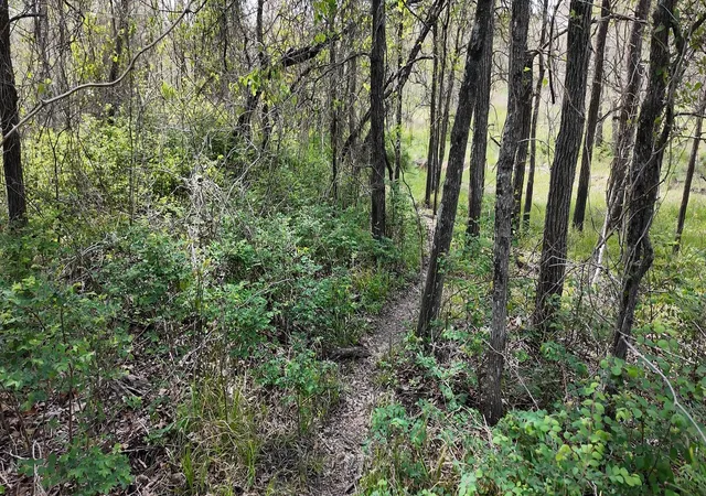 Photo 3 of Land for sale at 144 Cr 219, Cameron, TX 76520 | MLS# 9572783 | Listing updated on 2026-06-22