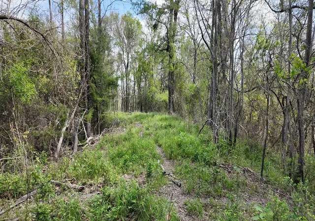 Photo 4 of Land for sale at 144 Cr 219, Cameron, TX 76520 | MLS# 9572783 | Listing updated on 2026-06-22