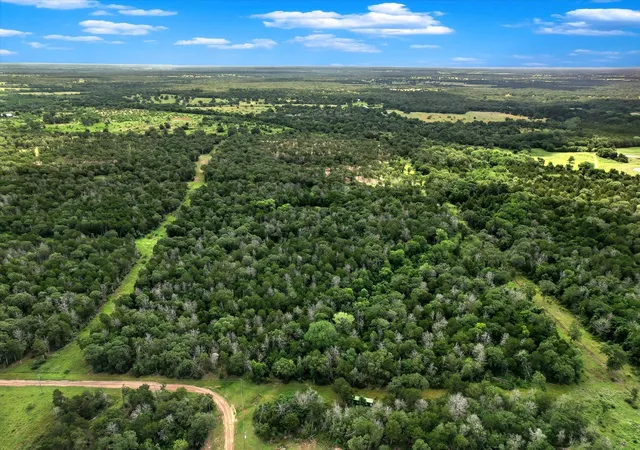 15th image of Tbd Tracts 12 13 High Crossing Rd, Smithville, TX 78957 | MLS# 3321760