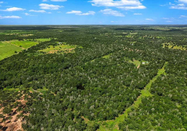4th image of Tbd Tracts 12-13 High Crossing Rd, Smithville, TX 78957 | MLS# 3321760