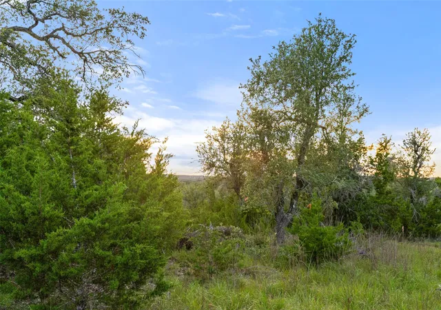 4th image of 32000 Mirela Ann Rd, Dripping Springs, TX 78620 | MLS# 7357395