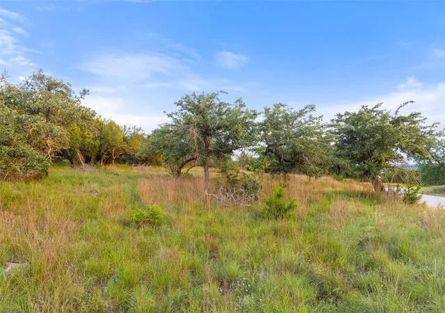 5th image of 31930 Mirela Ann Rd, Dripping Springs, TX 78620 | MLS# 7812744
