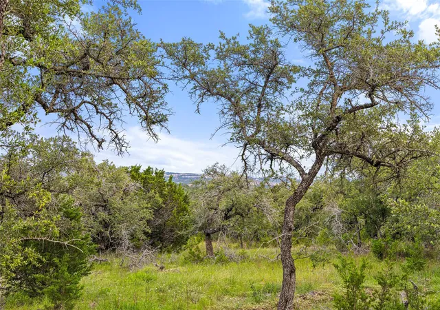 1st image of 31860 Mirela Ann Rd, Dripping Springs, TX 78620 | MLS# 2511311