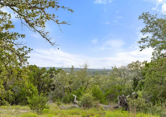 4th image of 31860 Mirela Ann Rd, Dripping Springs, TX 78620 | MLS# 2511311