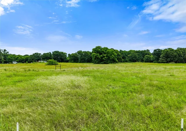 10th image of 0000 Fm 513 Rd, East Tawakoni, TX 75472 | MLS# 7413239