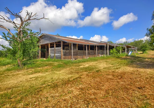3rd image of 13414 Elm Grove Rd, Buda, TX 78610 | MLS# 8424064