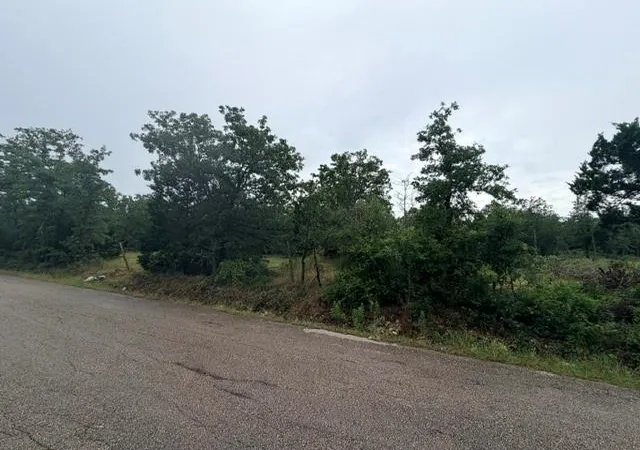 3rd image of 000 Mcdonald Ln W, Cedar Creek, TX 78612 | MLS# 5448701