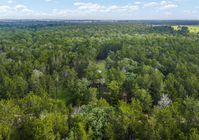Homes for sale in Dime Box, TX | 1218 County Road 436, Dime Box, TX 77853 | MLS# 5474707