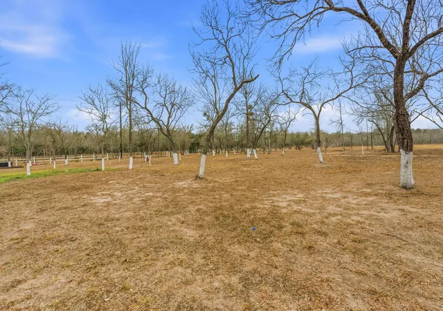 5th image of 1278 Fm 812 Rd, Cedar Creek, TX 78612 | MLS# 5194935