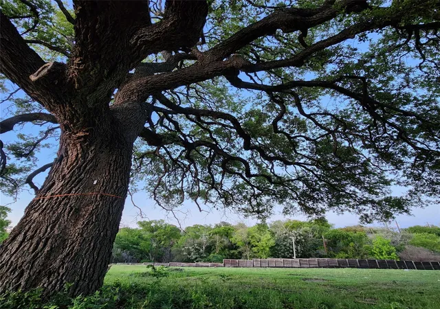 Photo 3 of Land for sale at 701 Montgomery St, Georgetown, TX 78626 | MLS# 6673295 | Listing updated on 2026-07-09