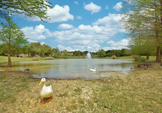 Photo 40 of Mansion for sale at 12932 Nutty Brown Rd, Austin, TX 78737 | MLS# 4620349 | Listing updated on 2026-08-27
