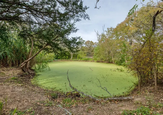 5th image of 201 Artesian Dr, Cedar Creek, TX 78612 | MLS# 3978289