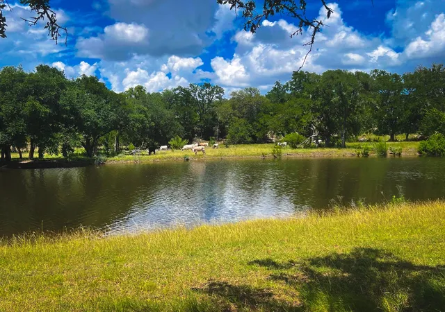 Homes for sale in Johnson City, TX | 1364 N Walnut Springs Dr, Johnson City, TX 78636 | MLS# 5336560