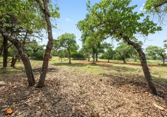 3rd image of 294 Mae Pt, Dripping Springs, TX 78620 | MLS# 9978362