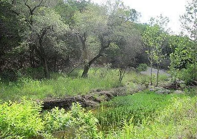 2nd image of 350 Bluff Rd, Spicewood, TX 78669 | MLS# 8115336