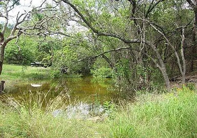 4th image of 350 Bluff Rd, Spicewood, TX 78669 | MLS# 8115336