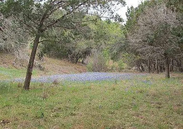 5th image of 350 Bluff Rd, Spicewood, TX 78669 | MLS# 8115336