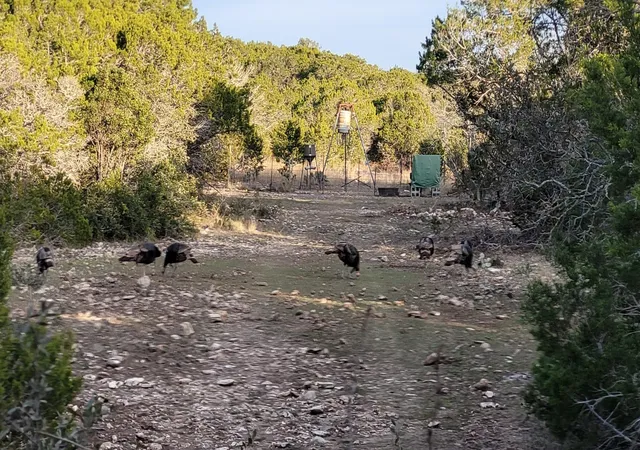 Photo 3 of Land for sale at 000 Private Rd 3150, Brackettville, TX 78832 | MLS# 2056792 | Listing updated on 2026-07-01