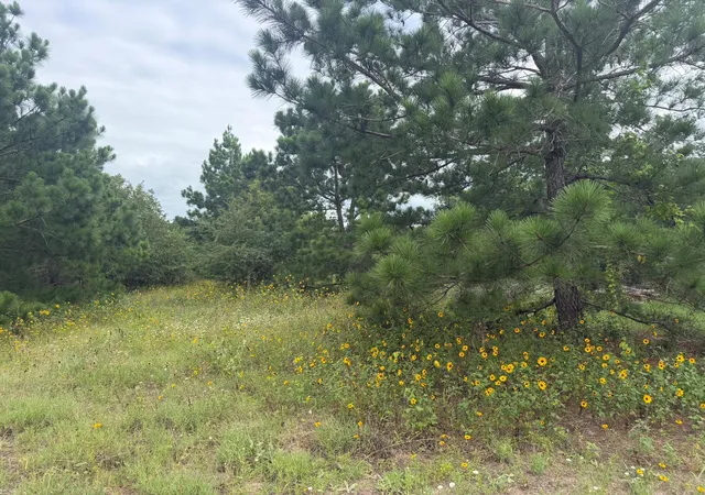 5th image of 151 S Buckhorn Dr, Bastrop, TX 78602 | MLS# 1195908