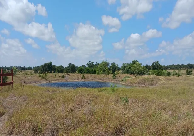 2nd image of 6787 Fm 2657 Hwy, Briggs, TX 78608 | MLS# 4246949