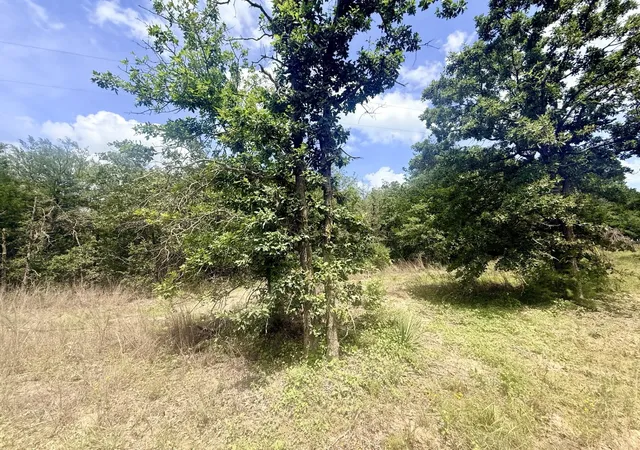 3rd image of Tbd County Road 337, Lexington, TX 78947 | MLS# 4241742