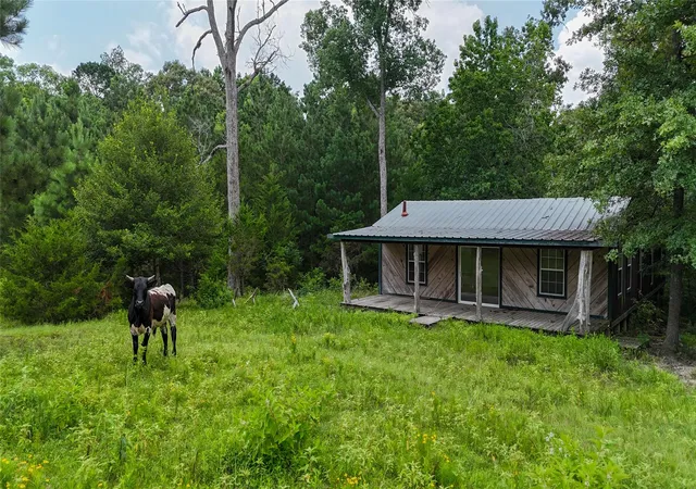28th image of 3117 3197 Fm 980 Fm 980, Point Blank, TX 77364 | MLS# 4802330