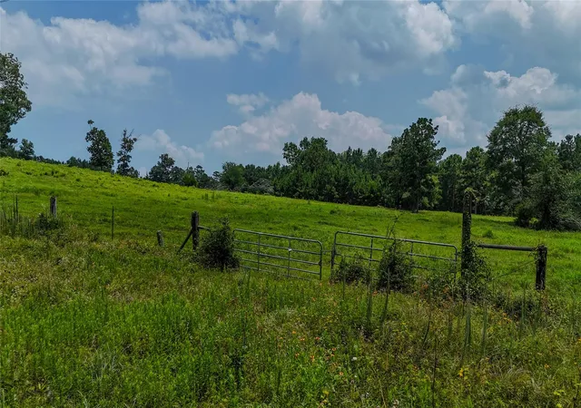 Photo 4 of House for sale at 3117-3197 Fm 980, Point Blank, TX 77364 | MLS# 4802330 | Listing updated on 2026-06-30