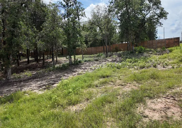 Homes for sale in Elgin, TX | 160 Los Robles Rd, Elgin, TX 78621 | MLS# 9738384