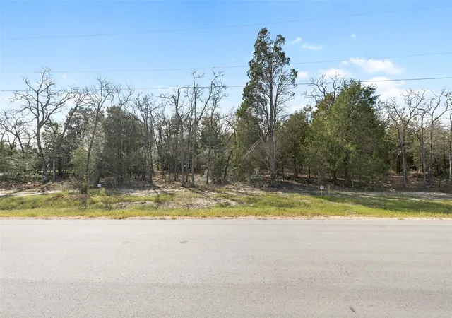 Homes for sale in Elgin, TX | 122 Las Cimas Dr, Elgin, TX 78621 | MLS# 8780967