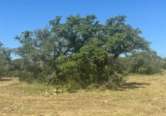 Photo 2 of Land for sale at 5 Back Bone Crk Dr, Burnet, TX 78611 | MLS# 5466597 | Listing updated on 2026-08-27