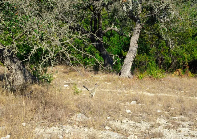 Photo 3 of Land for sale at 101 Mystic Overlook Dr, Dripping Springs, TX 78620 | MLS# 3773497 | Listing updated on 2026-07-08