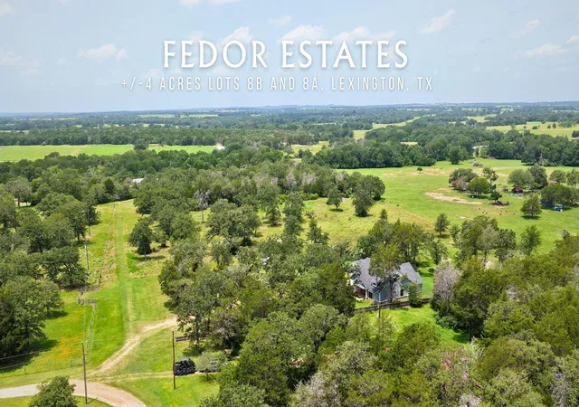 Homes for sale in Lexington, TX | 1016 Private Road 7040, Lexington, TX 78947 | MLS# 3368224