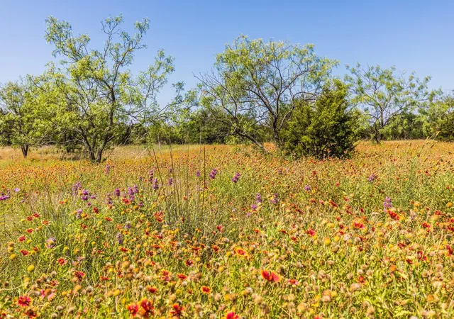 Homes for sale in Kempner, TX | Tract 2 County Road 3300, Kempner, TX 76539 | MLS# 7944258