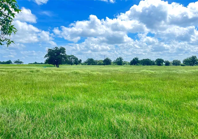 Homes for sale in Lexington, TX | 11009 Hwy 77 Hwy, Lexington, TX 78947 | MLS# 2619598