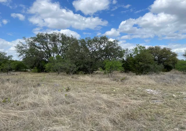 Homes for sale in Spicewood, TX | 302 Vista View Trl, Spicewood, TX 78669 | MLS# 2522313