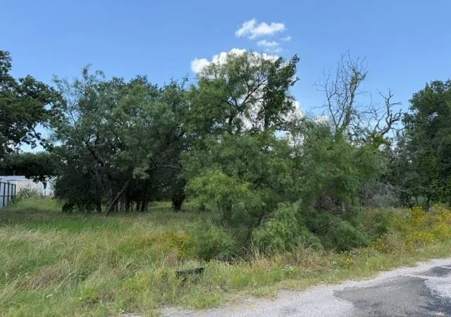 Homes for sale in Kingsland, TX | 3523 Cactus Trl, Kingsland, TX 78639 | MLS# 5462585