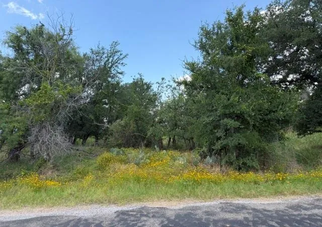 Homes for sale in Kingsland, TX | 3523 Cactus Trl, Kingsland, TX 78639 | MLS# 5462585