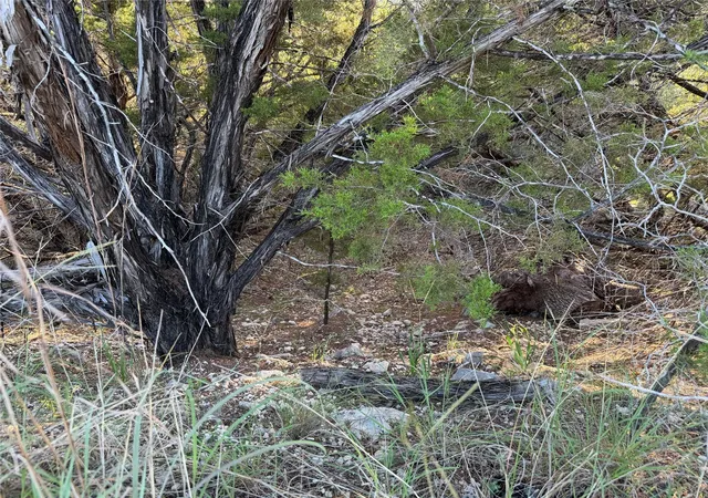 Photo 3 of Land for sale at 3100 Marshall Ave, Leander, TX 78645 | MLS# 2743846 | Listing updated on 2026-10-02