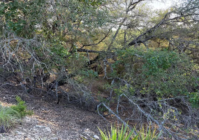 Photo 3 of Land for sale at 3100 Marshall Ave, Leander, TX 78645 | MLS# 2743846 | Listing updated on 2026-10-02
