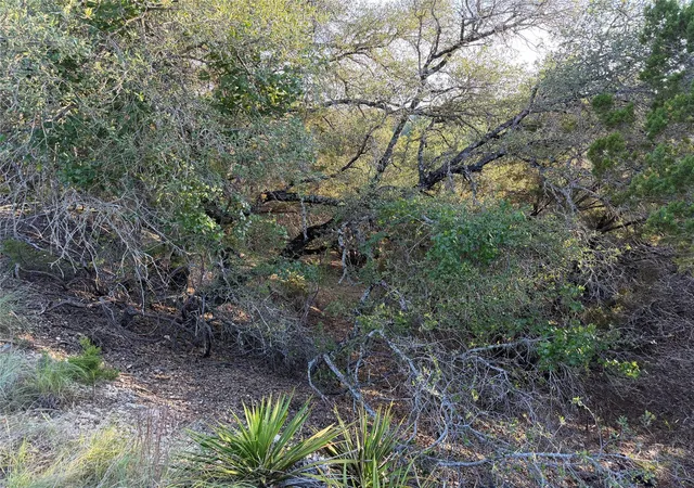 Photo 4 of Land for sale at 3100 Marshall Ave, Leander, TX 78645 | MLS# 2743846 | Listing updated on 2026-10-02