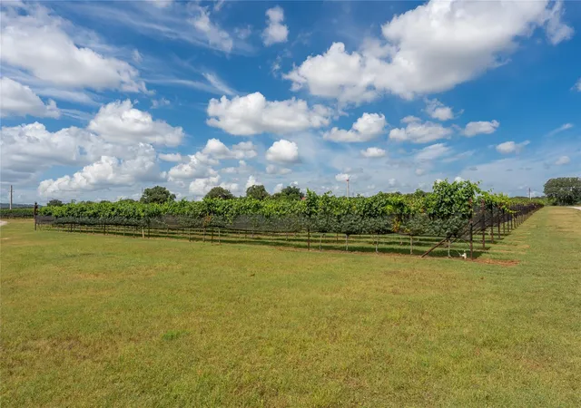31st image of Tbd Wine Trail Dr, Johnson City, TX 78636 | MLS# 8166079