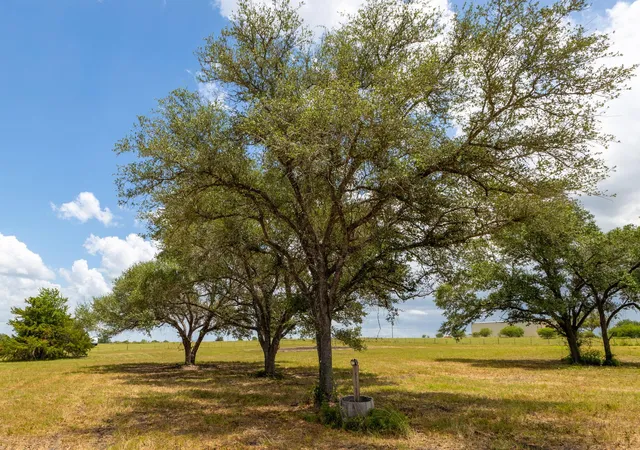 Homes for sale in Flatonia, TX | 1021 E Old Hallettsville Rd, Flatonia, TX 78941 | MLS# 5923982