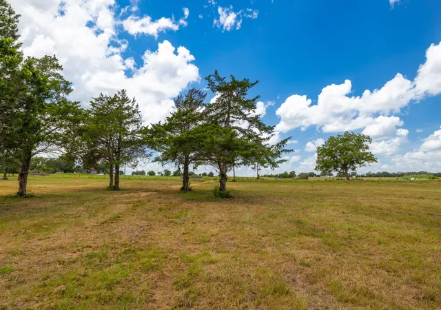 Homes for sale in Flatonia, TX | 1021 E Old Hallettsville Rd, Flatonia, TX 78941 | MLS# 5923982