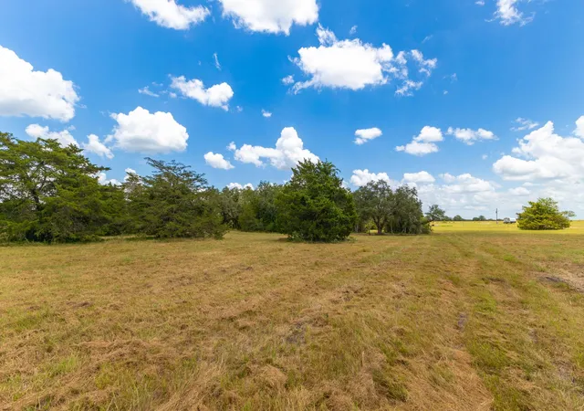 Homes for sale in Flatonia, TX | 1021 E Old Hallettsville Rd, Flatonia, TX 78941 | MLS# 5923982